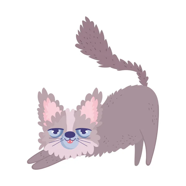 Desgrenhado gato desenho animado felino personagem animais de estimação — Vetor de Stock