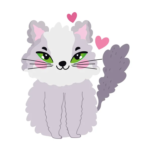 Szőrös macska rajzfilm macska karakter háziállat — Stock Vector
