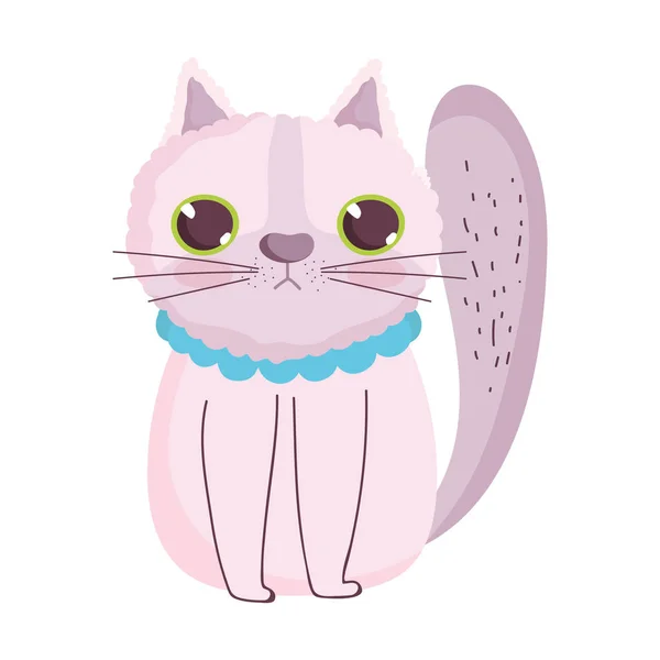 Lindo gato con azul cuello dibujos animados felino carácter mascotas — Vector de stock