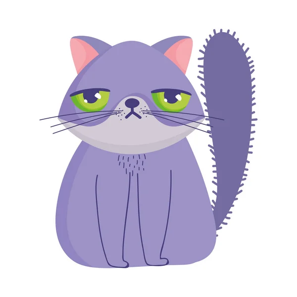 Grumpy cat cartoon feline character pets — Stock Vector