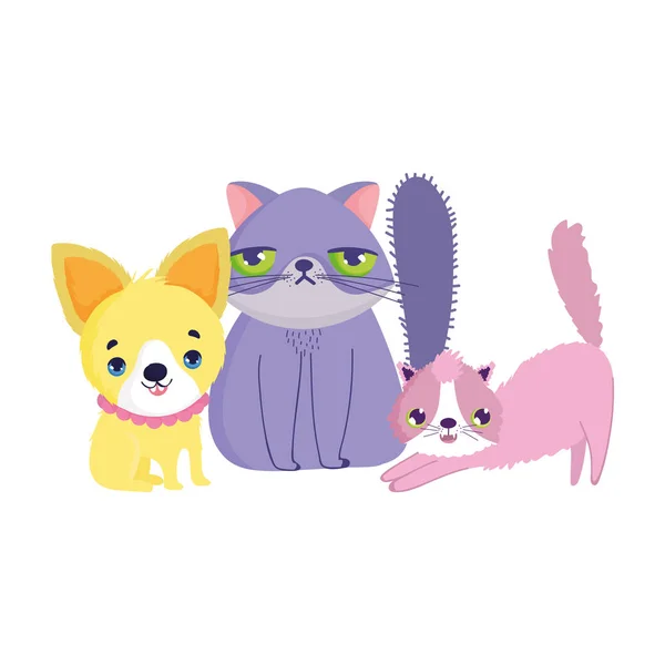 Pequeño cachorro y gatos felino canino dibujos animados mascotas — Vector de stock