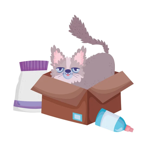 Cute kitty in cardboard box with food pets — Stock Vector