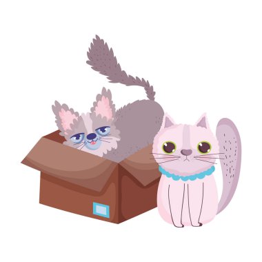 Kedi ve kedi, kedi çizgi filmlerindeki hayvanlar.
