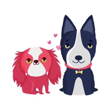 tasmalı siyah beyaz köpek ve köpek yavrusu.