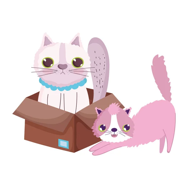 Nyújtás macska és egyéb a dobozban rajzfilm háziállat — Stock Vector