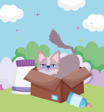 Dışarıdaki evcil hayvanlarla dolu karton kutuda sevimli bir kedi.