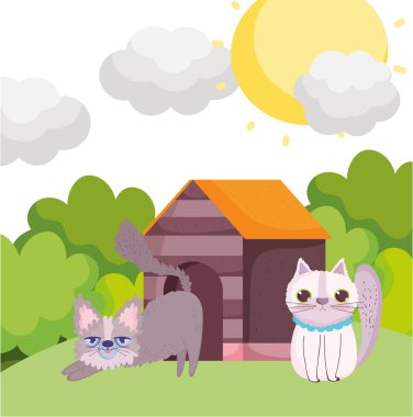 Kediler, evcil hayvanlarla çimlerin üzerinde çizgi film izlerler.