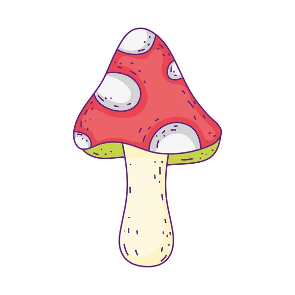 Cogumelo flora decoração desenho animado — Vetor de Stock