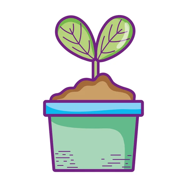 Folhas de plantas em vaso folha de crescimento de natute — Vetor de Stock