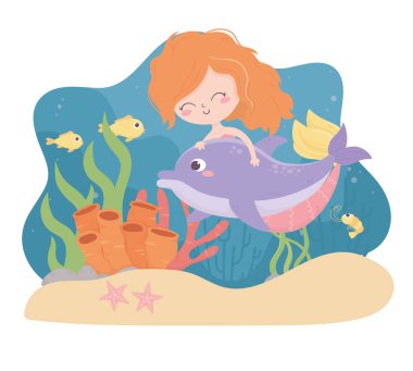 mermaid dolphin fishes shrimp starfish coral cartoon under the sea
