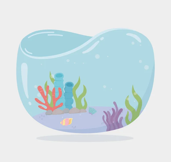 Tanque de agua de mariscos de arrecife de algas para peces dibujos animados bajo el mar — Vector de stock