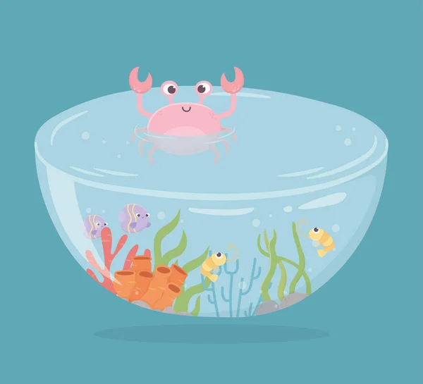 Crab shrimp fishes coral water under sea cartoon — Wektor stockowy