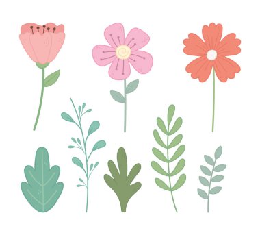 Çiçekler yaprak yaprağı doğa simgeleri seti bırakır