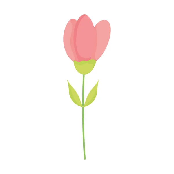 Λουλούδι διακόσμηση φύση σχέδιο εικονίδιο σε λευκό φόντο — Διανυσματικό Αρχείο