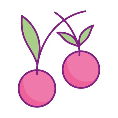 fresh fruit cherry leaves icons