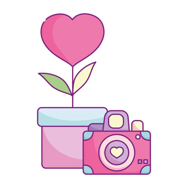 Happy valentines day, camera flower heart in pot love — Wektor stockowy