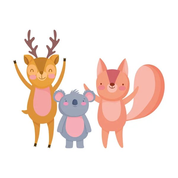 Cute deer koala and squirrel animals cartoon character — Stockvektor
