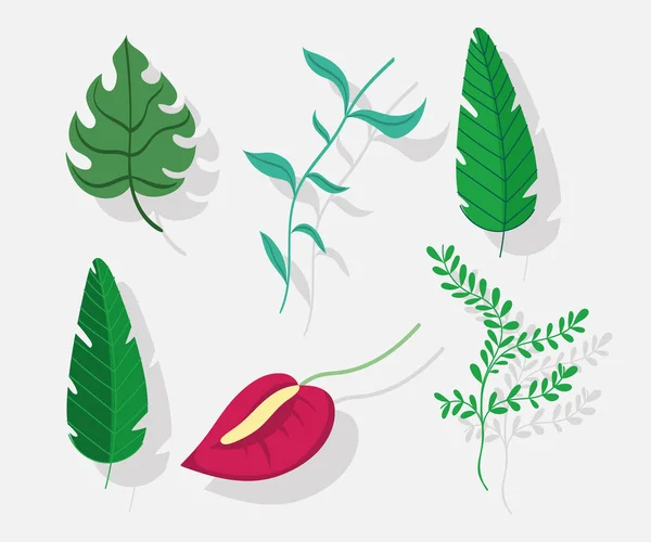 Цветочные монстры листья листьев листвы иконы ботаники — стоковый вектор