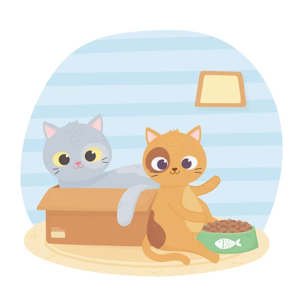 Kočky, aby mě šťastný, kočka v krabici a další s jídlem kreslené — Stockový vektor