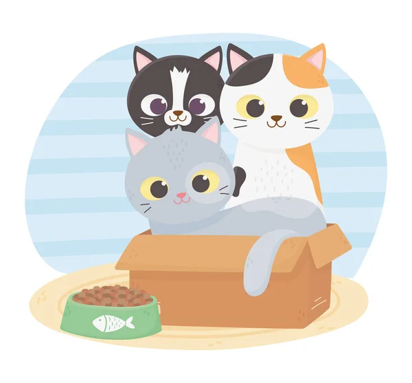 Cats make me happy, various cats in cardboard box with food — ストックベクタ