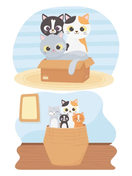 Cats make me happy, cute kittens in box and wicker basket cartoon — Stok Vektör
