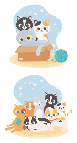 Cats make me happy, cute cats in box with wool ball and different breeds — Stok Vektör