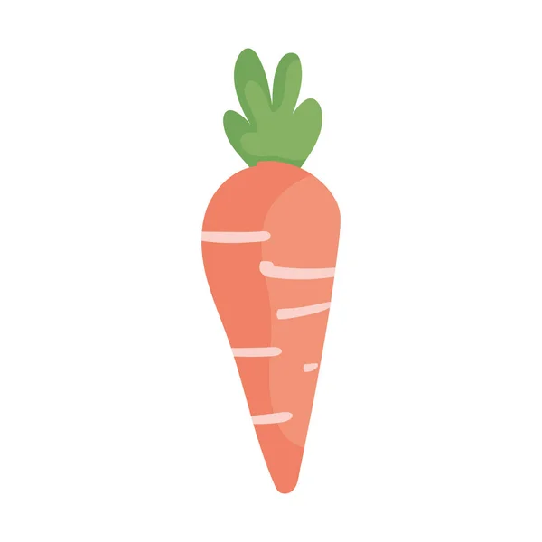 Carrot vegetable fresh nutrition icon — Stock Vector