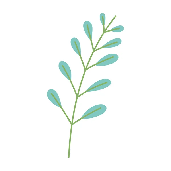 Rama verde hojas follaje ecología icono botánico — Vector de stock