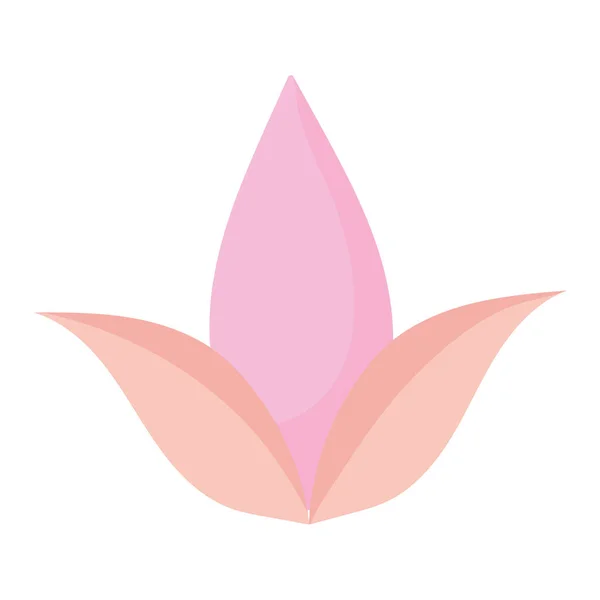 Flores pétala florescer ícone decoração — Vetor de Stock
