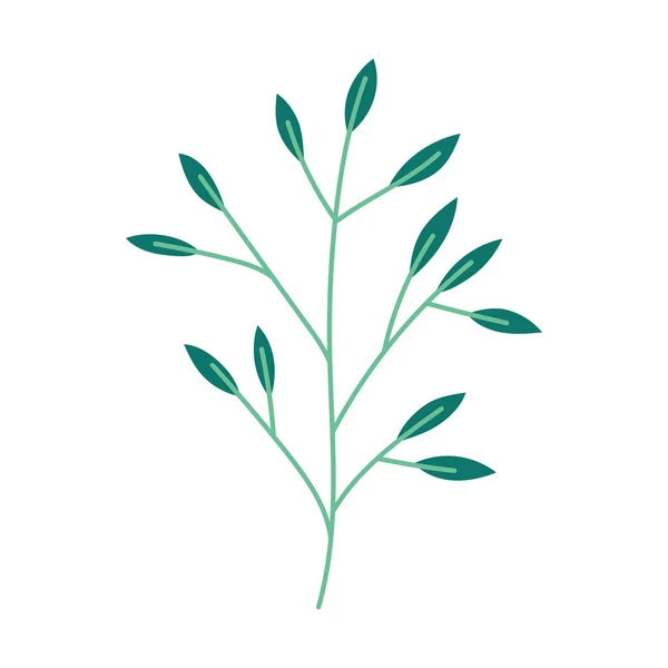 Branch leaves foliage natural botanical icon — Wektor stockowy