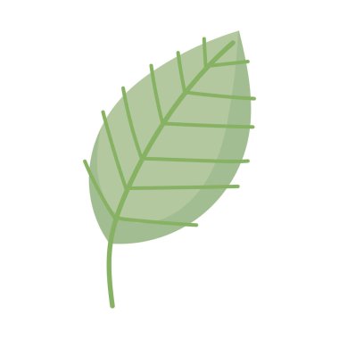 leaf foliage greenery nature botanical icon