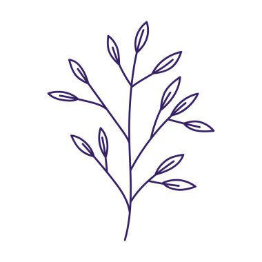 branch leaves foliage natural botanical icon