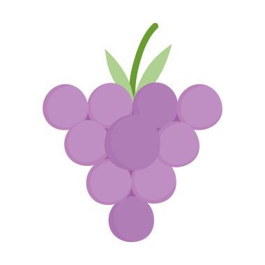 bunch grapes fresh fruit cartoon style icon design