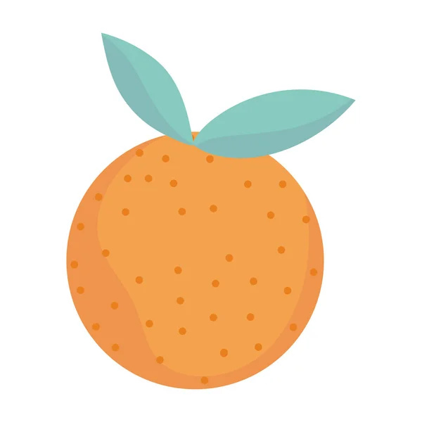 Orange fresh fruit cartoon icon style design — Stock Vector