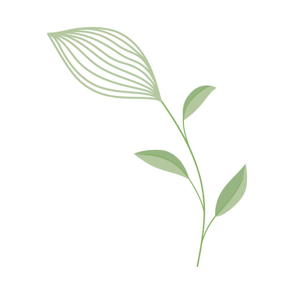 flowers season spring nature decoration icon