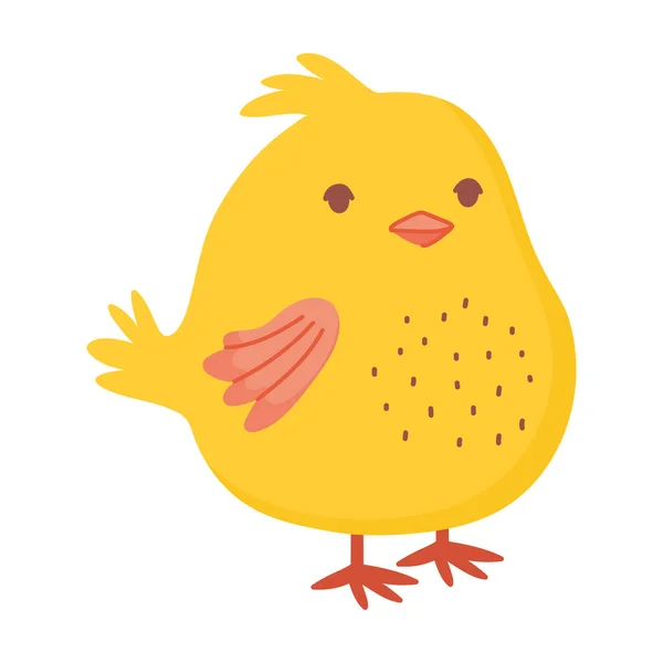 Cute little chicken bird animal farm icon — Stock Vector