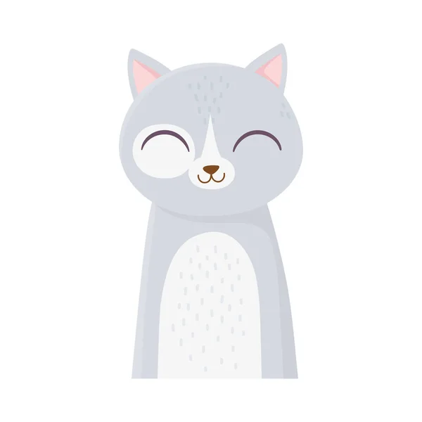 Lindo gato retrato dibujos animados felino animal icono diseño — Vector de stock