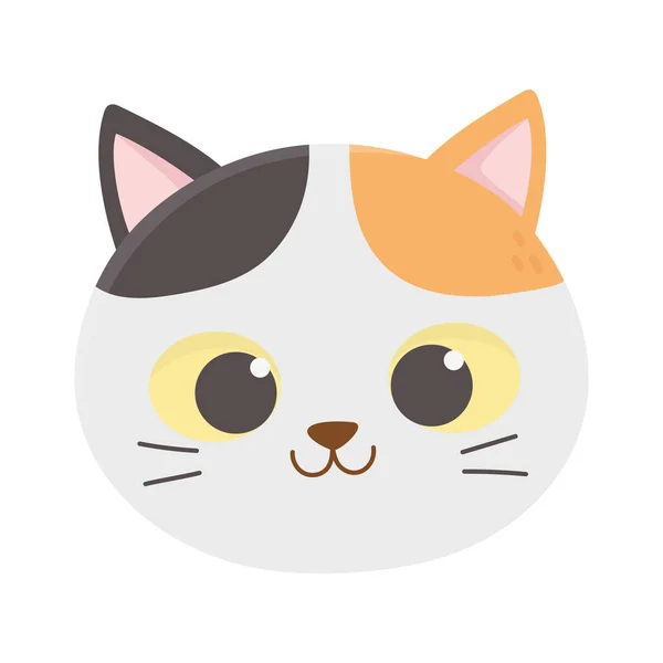 Cute cat face feline cartoon animal icon — Stock Vector