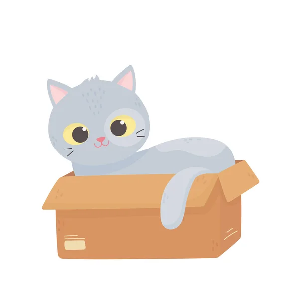 Cute gray cat lying in the cardboard box cartoon — Stockový vektor