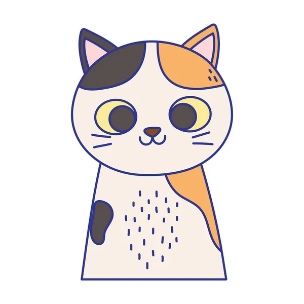 Cute cat portrait cartoon feline animal icon design — Stockvektor