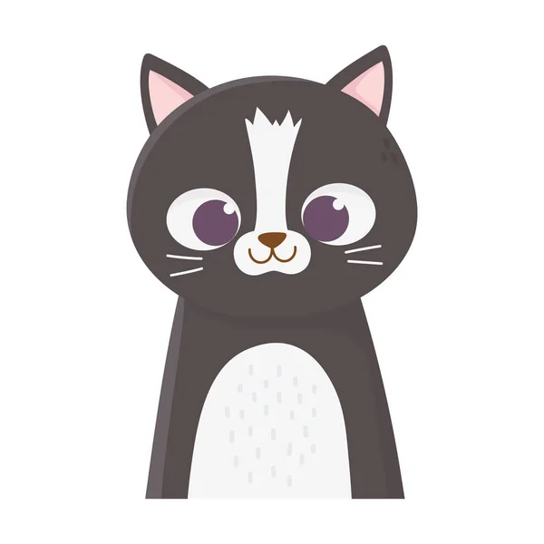 Cute cat portrait cartoon feline animal icon design — Stock Vector