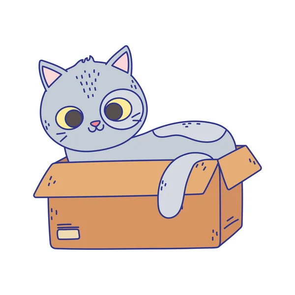 Cute gray cat lying in the cardboard box cartoon — ストックベクタ