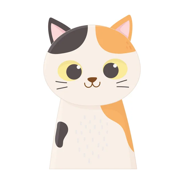 Cute cat portrait cartoon feline animal icon design — Stock Vector