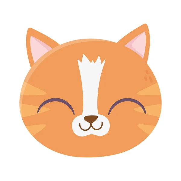Lindo gato cara felino dibujos animados animal icono — Vector de stock