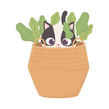 Kediler beni mutlu ediyor, siyah beyaz kedi sepet çizgi filmlerini merak ediyor.