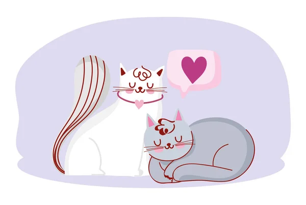 Mignon blanc et gris chats animaux domestiques dessin animé amour — Image vectorielle