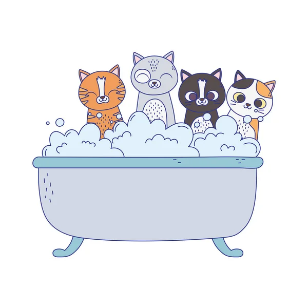 Petits chats dans la baignoire toilettage animal isolé sur fond blanc — Image vectorielle