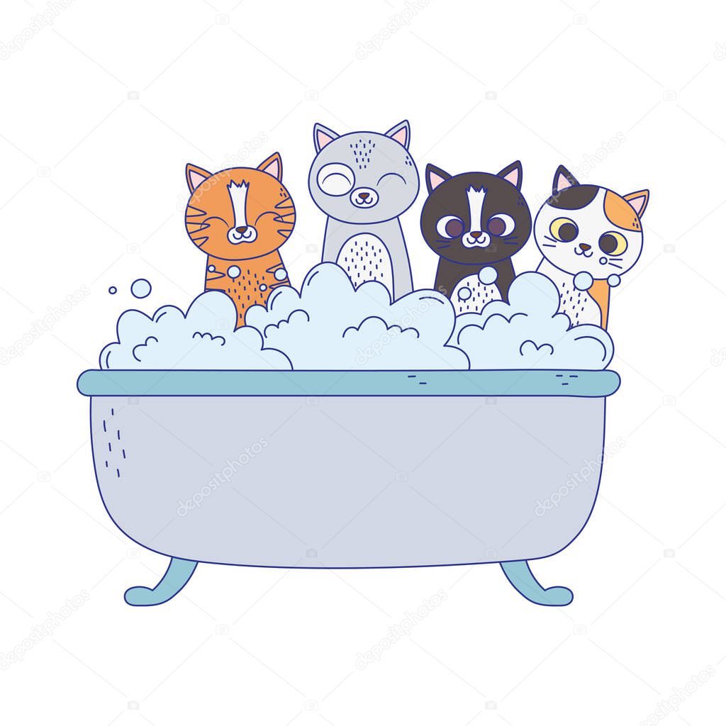 little cats in the bathtub grooming pet isolated on white background