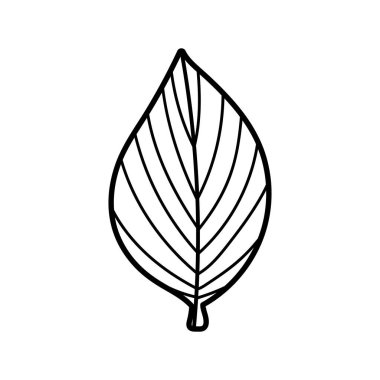 leaf foliage nature on white background thick line