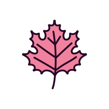 leaf foliage nature on white background